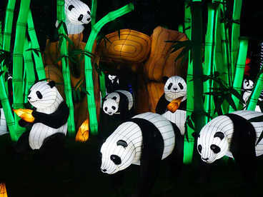 雕塑彩灯-熊猫抱竹