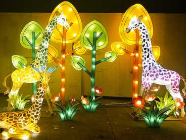 陆上彩灯-童话世界-长颈鹿