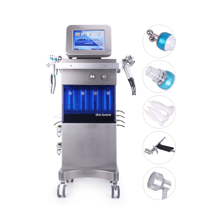 LB273 9 In 1 Multifunction small bubble dermabrasion machine