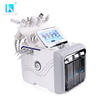 LB400 Multi-functional Small Bubble Oxygen Facial  Beauty Machine with Mask