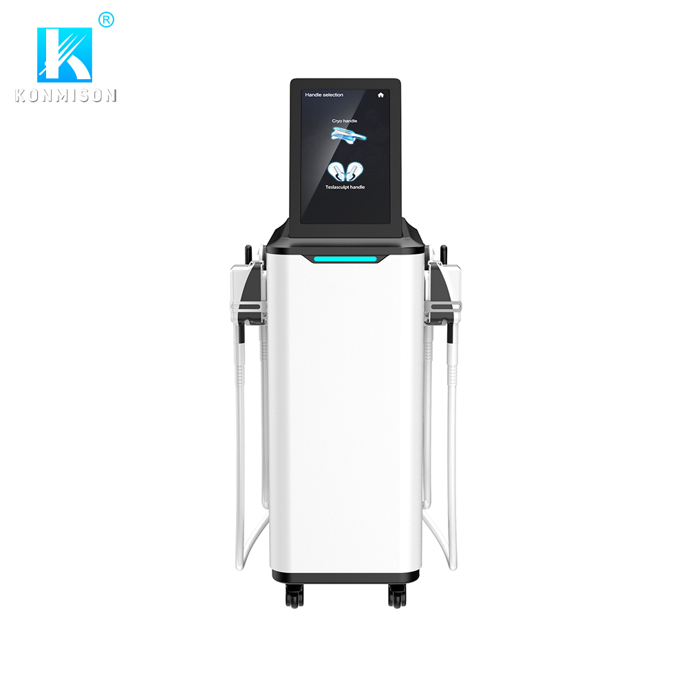 2 In 1 Emsculpting And Cryolipolysis Slimming Machine