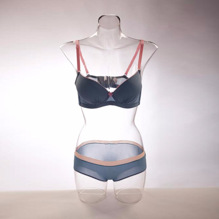 Pc feminino PC lingerie transparente torso plástico plástico meio corpo torso torso busto transparente (série PL plástico plástico coleção de torso transparente)