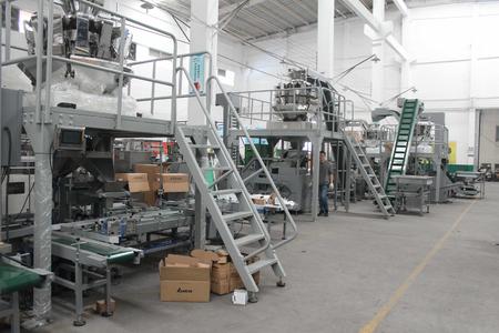 New Design Full Automatic Hardware Fittings Packing Machine Supplier-Paralleling Cartonning System