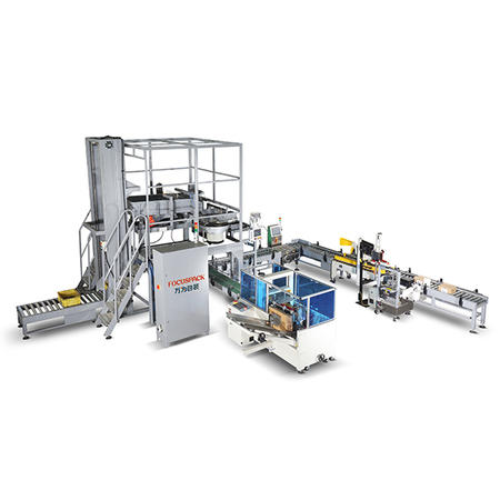 High Capacity 15kg Fastener Packing System Manufacturer-Large Weight Carton Packaging System