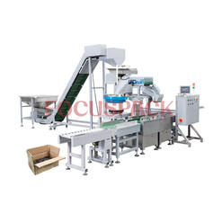 High Capacity Fastener Packing Machine Supplier-Large Weight Carton Packaging System