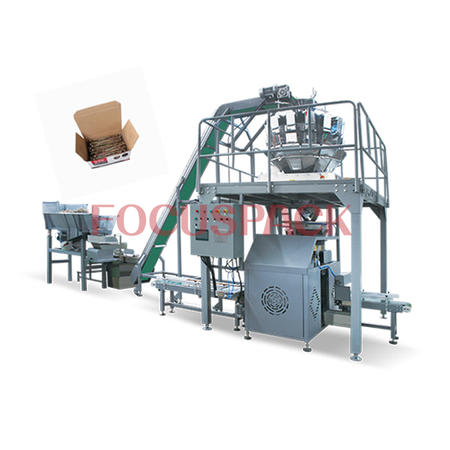 Customized Full Automatic Long Screw Packing Machine Supplier-Paralleling Cartonning System