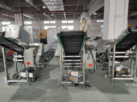 China Metal Detecting Conveyor Supplier