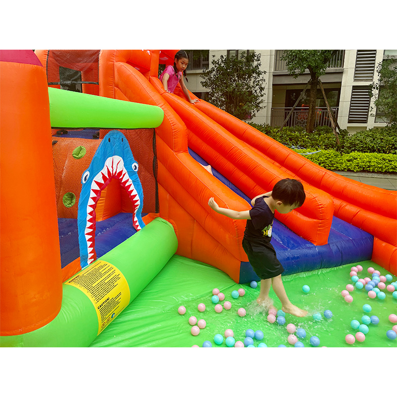 Happy Lion Inflatable water slide, Backyard double slide with jumping bouncer water slide for kids
