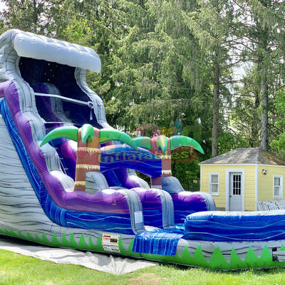Commercial backyard palm tree jumping bouncer marble tropical waterslide combo bounce house  sale inflatable water slide with pool