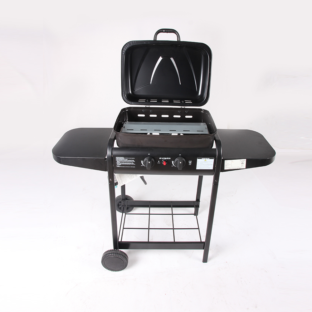 GY01 Gas Charcoal Grill