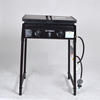GY02 Gas Charcoal Grill