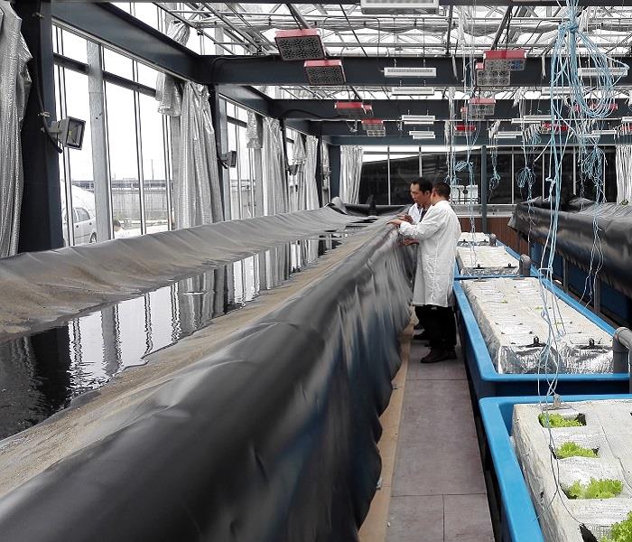  LLDPE geomembrane for agriculture application