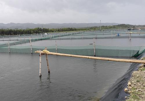 Como instalar a lagoa de peixes HDPE Anti-infiltração Geomembrane?