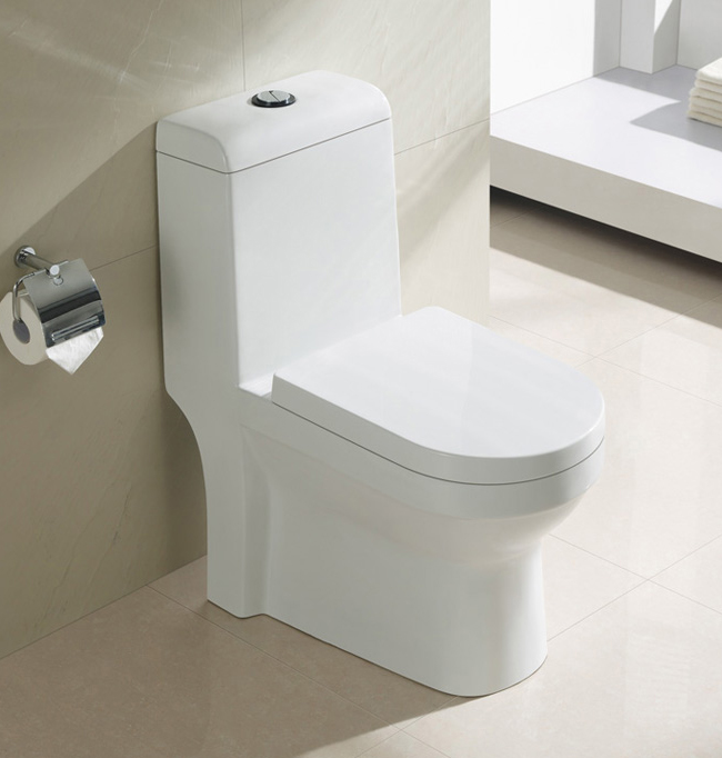 elongated-one-piece-bathroom-toilet
