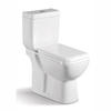 Wash Down P-trap and S-trap Watersense Dual Flush Toilet