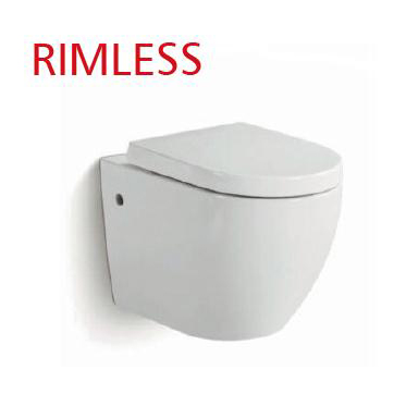 Rimless Compact Dual Flush Toilet