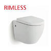 Rimless Compact Dual Flush Toilet