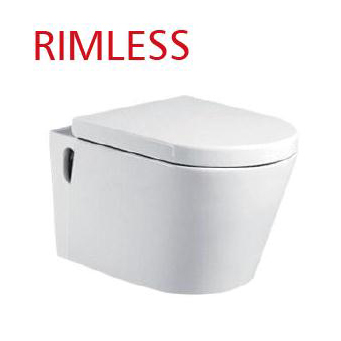 Rimless White One Piece Toilet