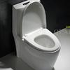 Top Flush One Piece ECO Toilet