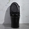 One piece porcelain water closet matte black toilet