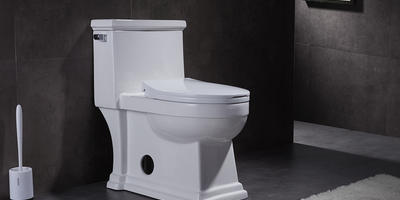 How to Choose Your Best Bathroom Toilet? Your Toilet Buying Guide