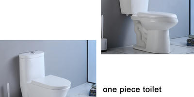 How to choose the best toilet for you? 1 piece vs 2 piece Toilet