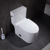 4.8l American Standard Right Height Toilet Elongated One Piece Floor Mounted