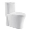 American Best Flushing Dual Flush Siphon 1 Pc Toilet For Bathroom