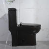 One Piece Floor Mounted Toilet Black Fully Glazed Flush Water Closet