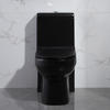One Piece Floor Mounted Toilet Black Fully Glazed Flush Water Closet