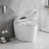 WC Sanitary Wares Automatic Bathroom Rimless Water Closet Smart Toilet Bowl