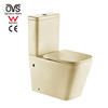 Rimless Ceramic Color In Sanitary Ware Toilet Bowl And Wc Bowl Two-Piece Toilet