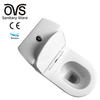 Chinese Suppliers Ceramic P Trap Ceramic Standard Two Piece Toilet for Bathroom