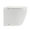Wc Sanitary Ware Bathroom Gravity Flushing Floor Standing Back To Wall Toilet