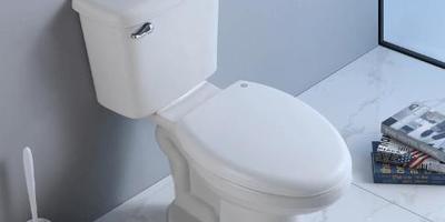 Dual Flush vs. Single Flush Toilets: Which is Better?