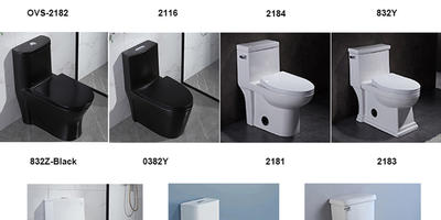 Choosing a Wc Toilet Preference in Canada