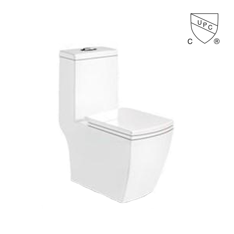 Bathroom siphonic One Piece Toilet 300mm wc s-trap water closet toilet bowl