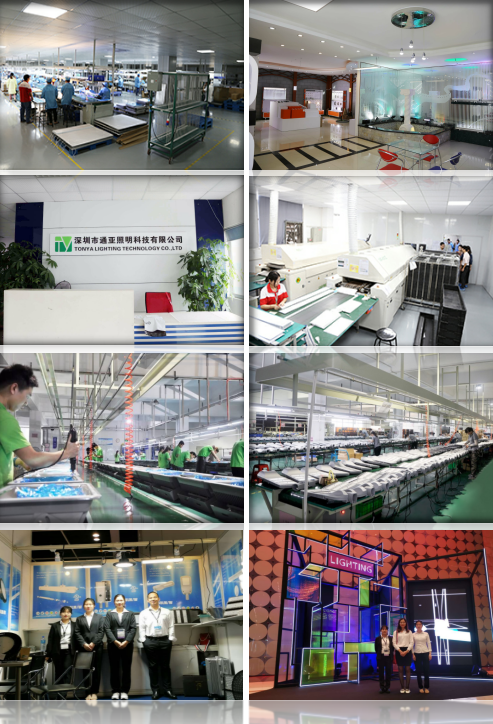 Shenzhen Tonya Lighting Technology Co., Ltd