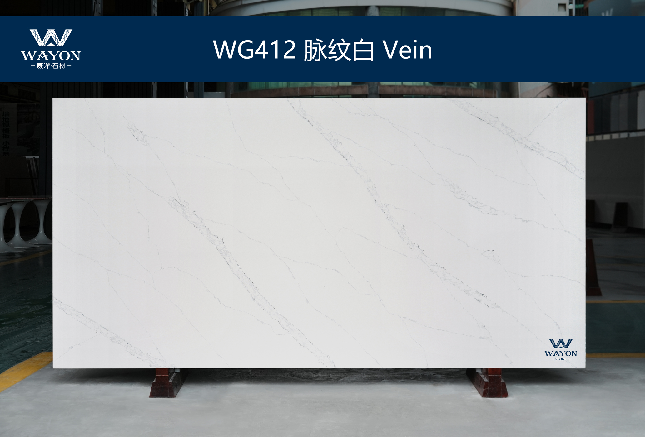 WG412 Vein