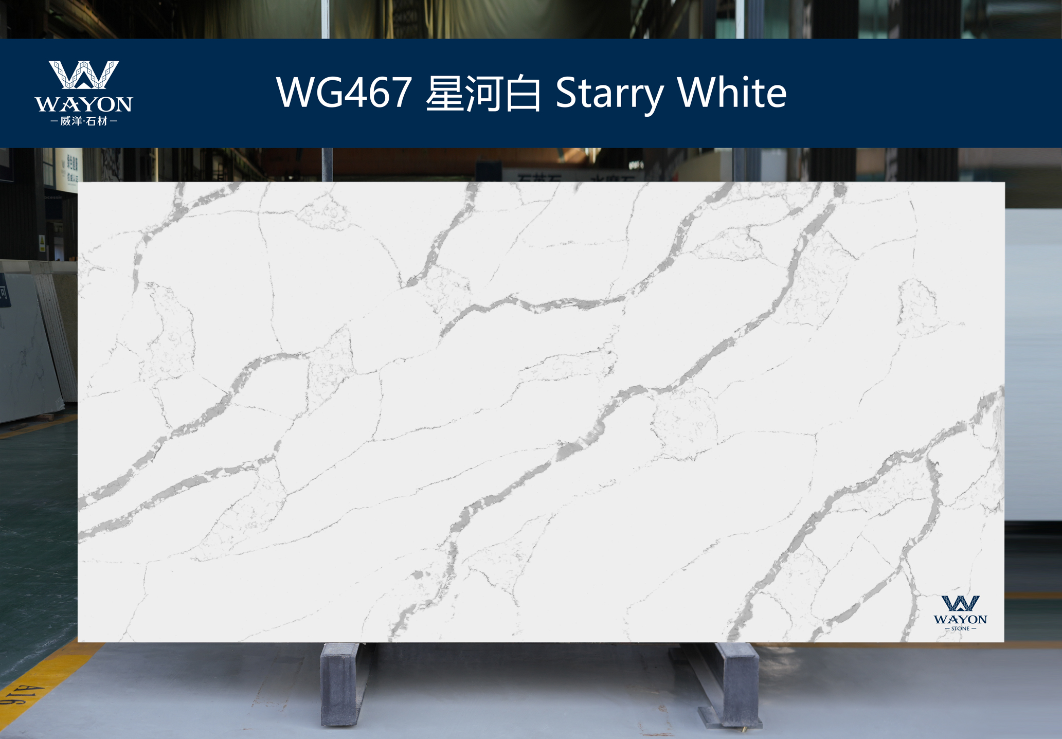 WG467 Starry White