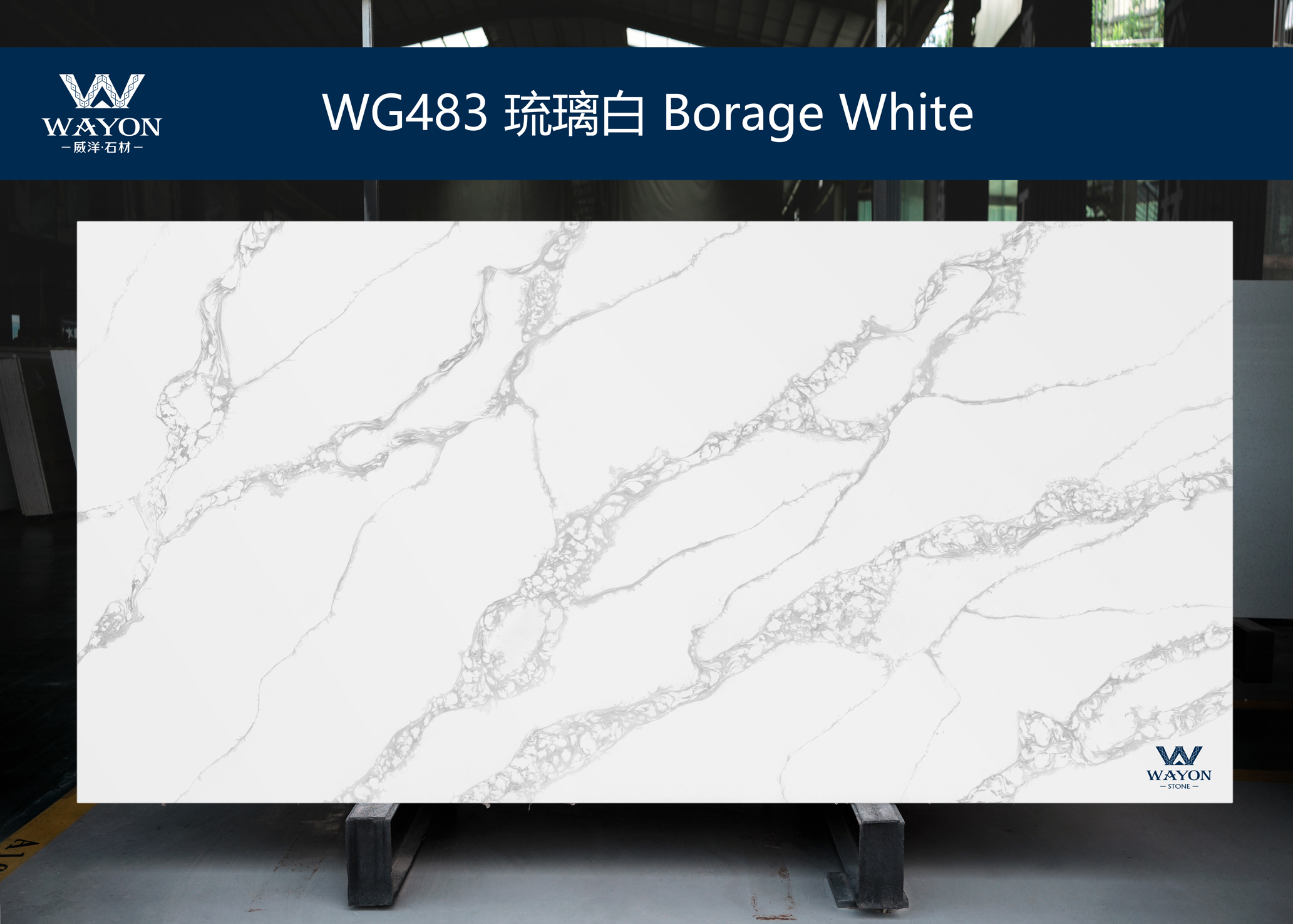 WG483 Borage White