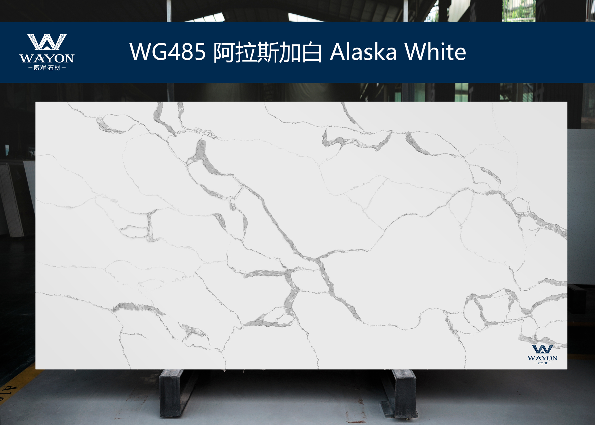 WG485 Alaska White