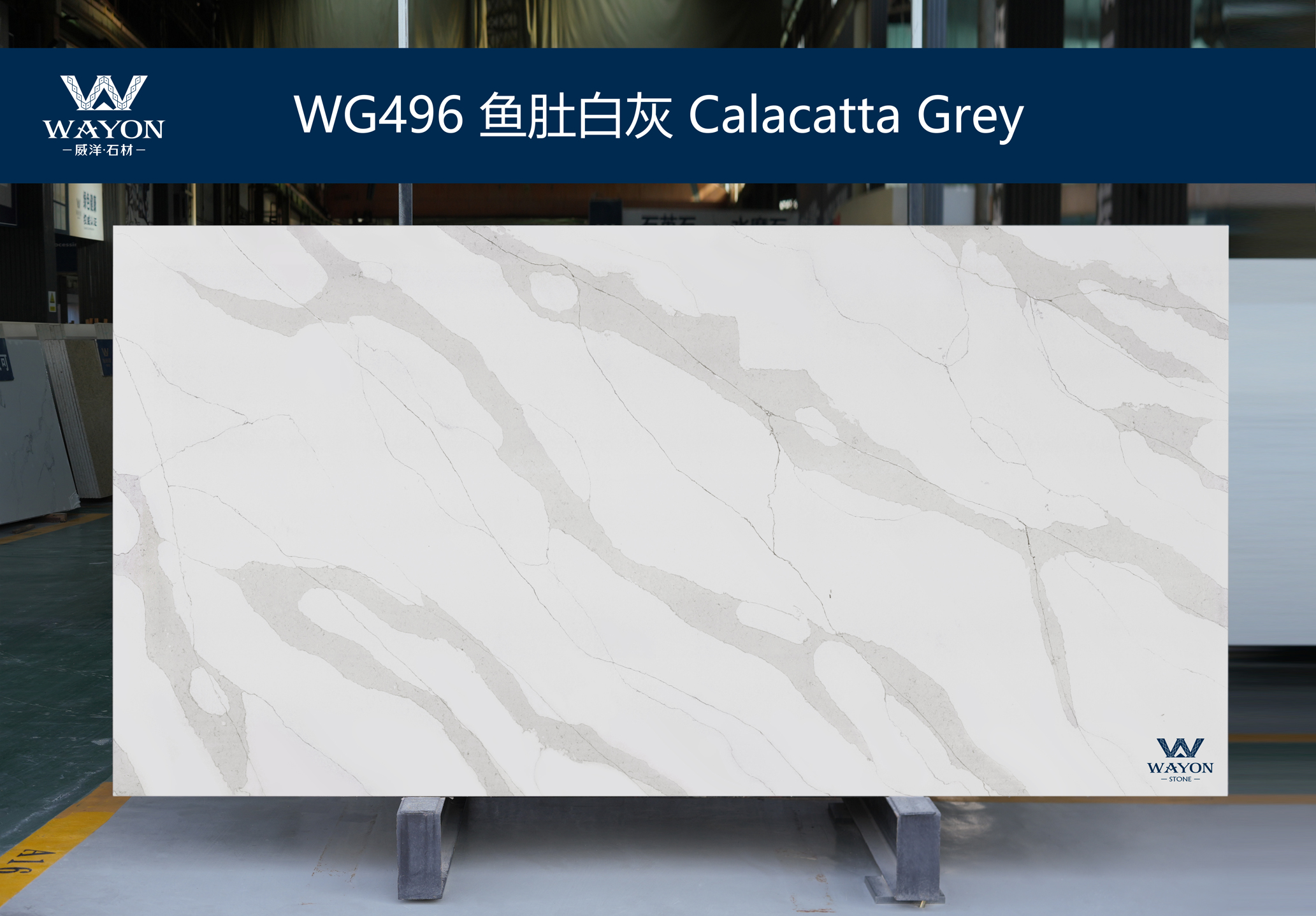 WG496 Calacatta Grey