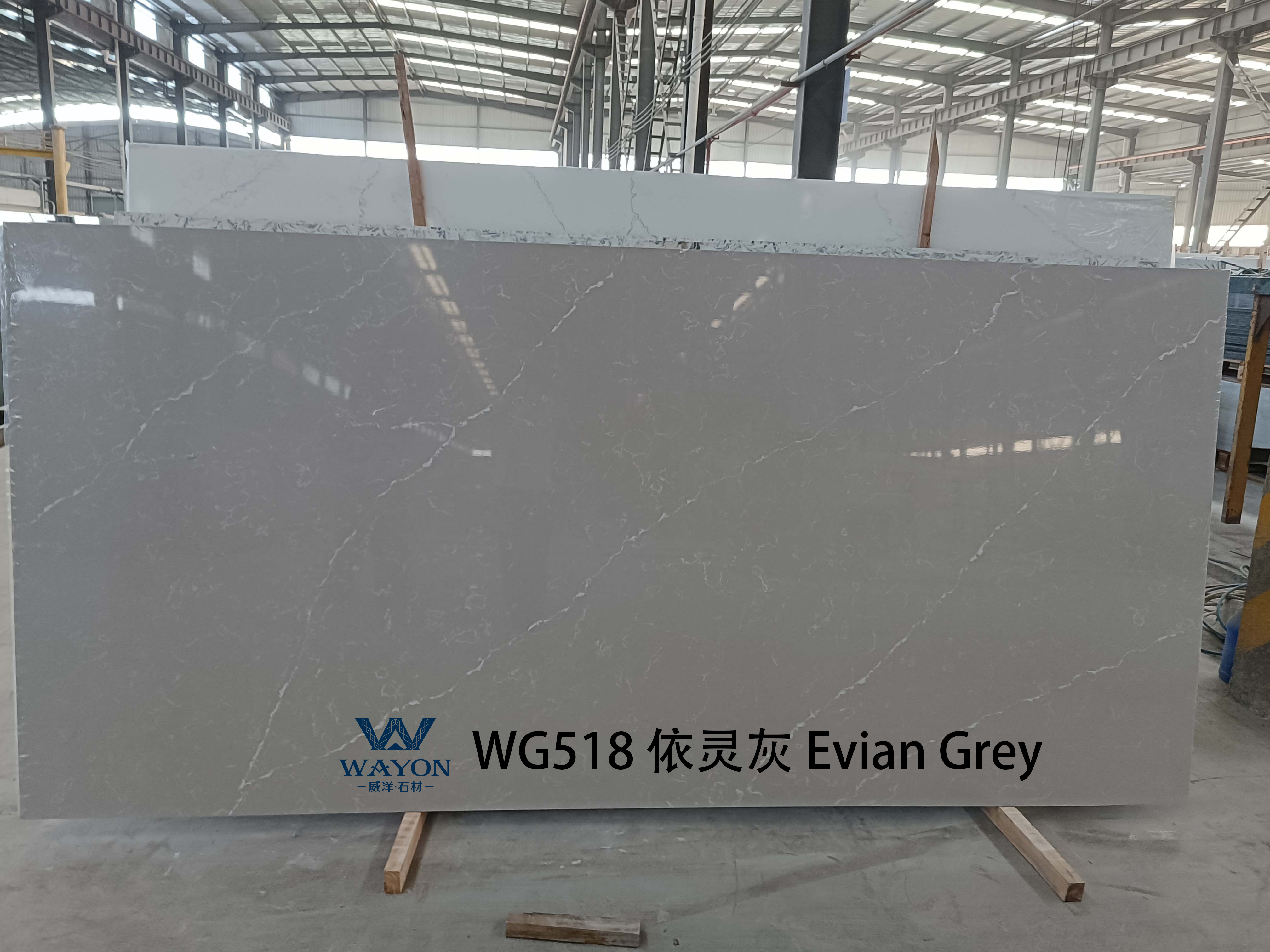 WG518 Evian Grey