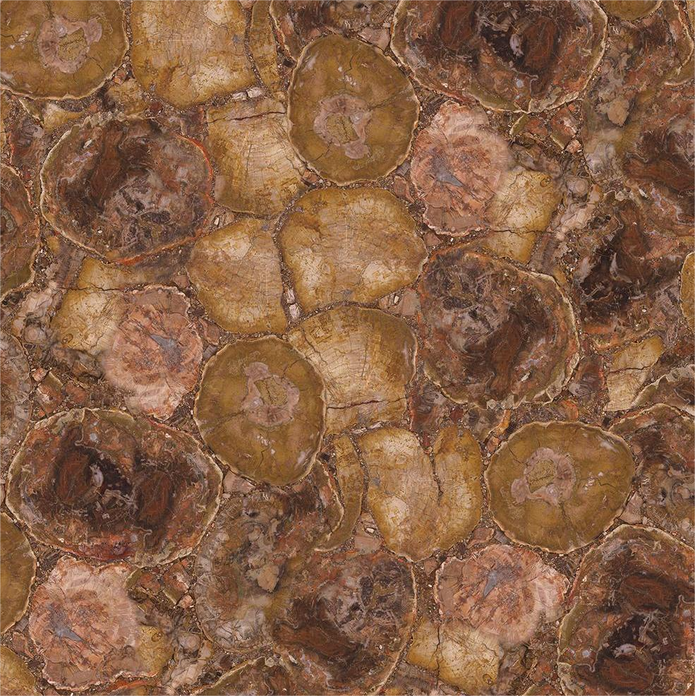 GEM-401 Petrified Wood（Round Texture)