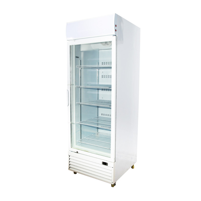 Single Door Freezer Merchandiser