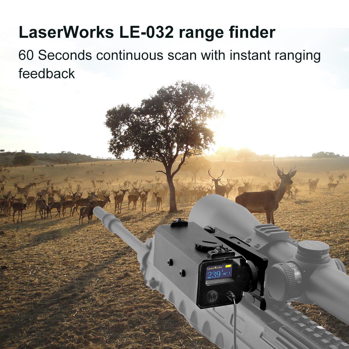 LE-032 montato su oscilloscopio LaserWorks