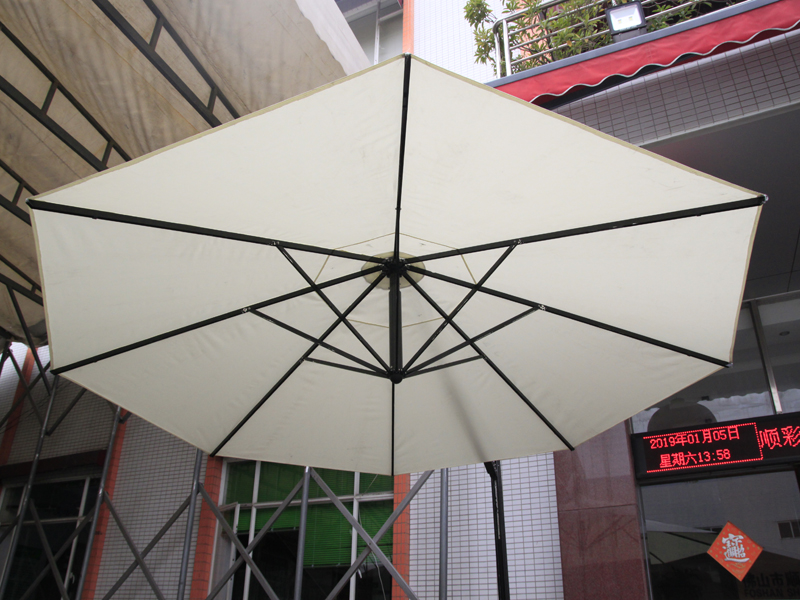 SCD-Roman Black Umbrella