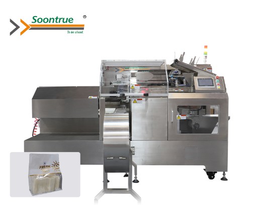 Horizontal Pouch Packing Machine Manufacturer