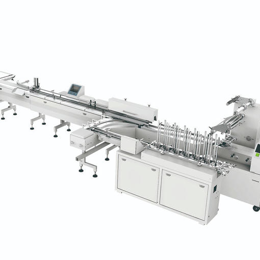 Feeding System with Tray Loader | Robot Packing Machine | Automatic Feeding System